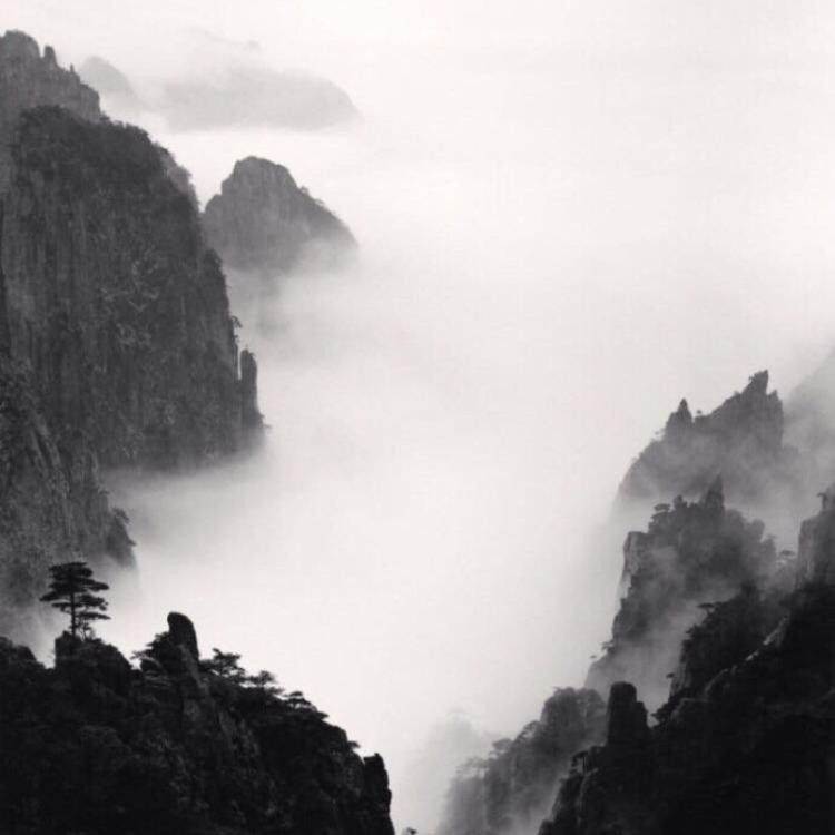 菱川直树 - 影视解说合集在线观看 - 手机直播